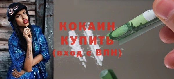 шишки Горнозаводск